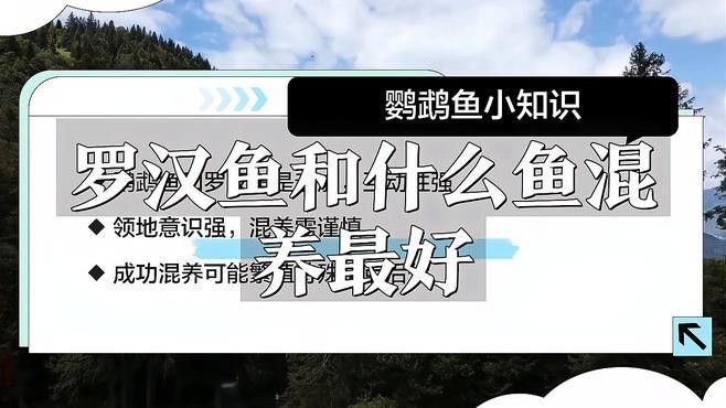 混養伙伴如何選擇體型？
