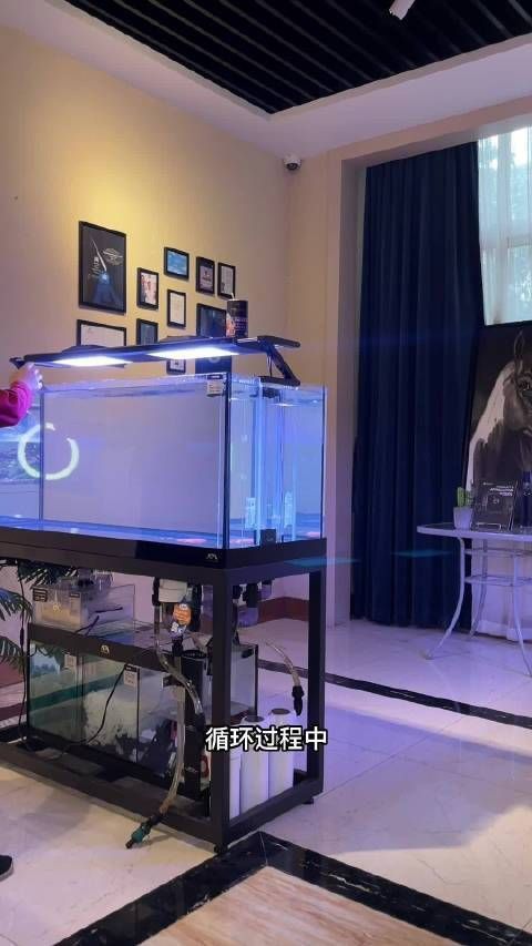 可麗愛魚缸