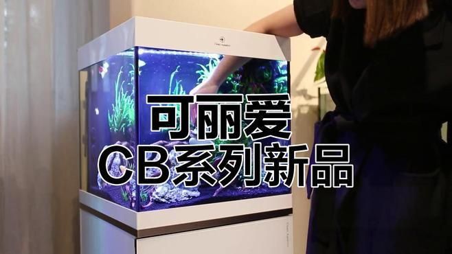 可麗愛魚缸