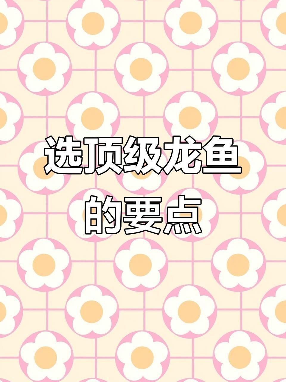 如何挑選高品質(zhì)的龍魚？
