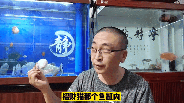 恐龍魚跳缸可以救嗎圖片視頻