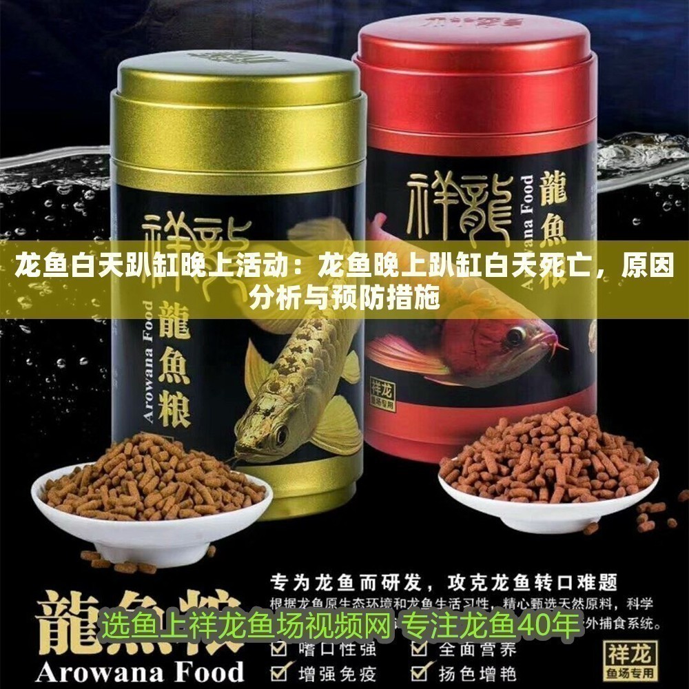 龍魚白天趴缸晚上活動：龍魚晚上趴缸白天死亡，原因分析與預防措施