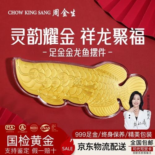 黃金金龍魚圖片大全大圖