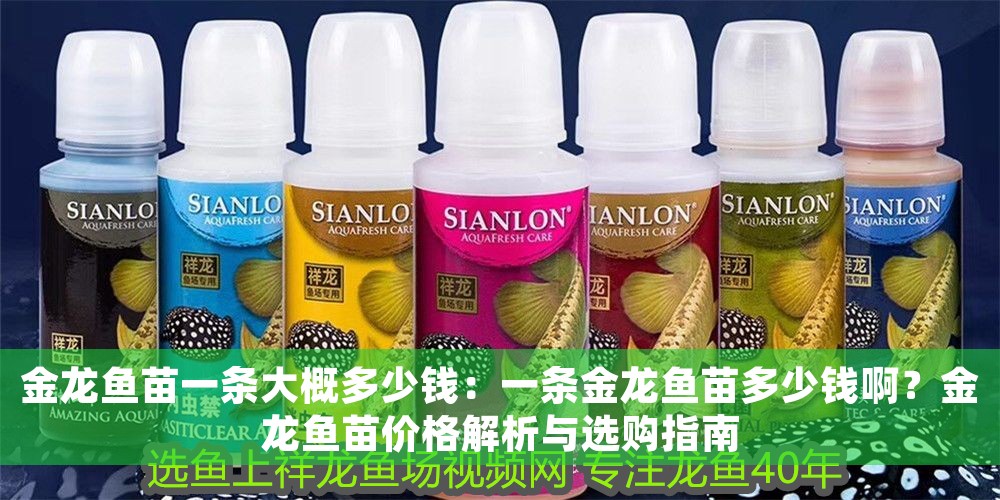 金龍魚苗一條大概多少錢：一條金龍魚苗多少錢??？金龍魚苗價格解析與選購指南