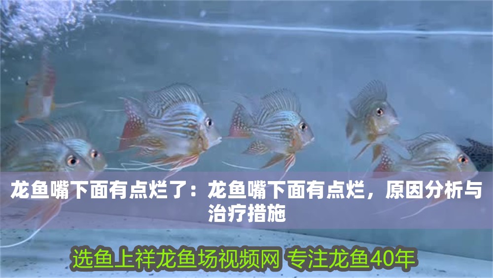 龍魚嘴下面有點爛了：龍魚嘴下面有點爛，原因分析與治療措施