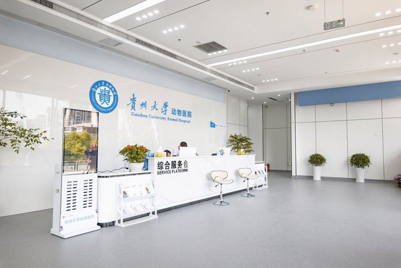 貴陽(yáng)龍魚治療機(jī)構(gòu)地址電話