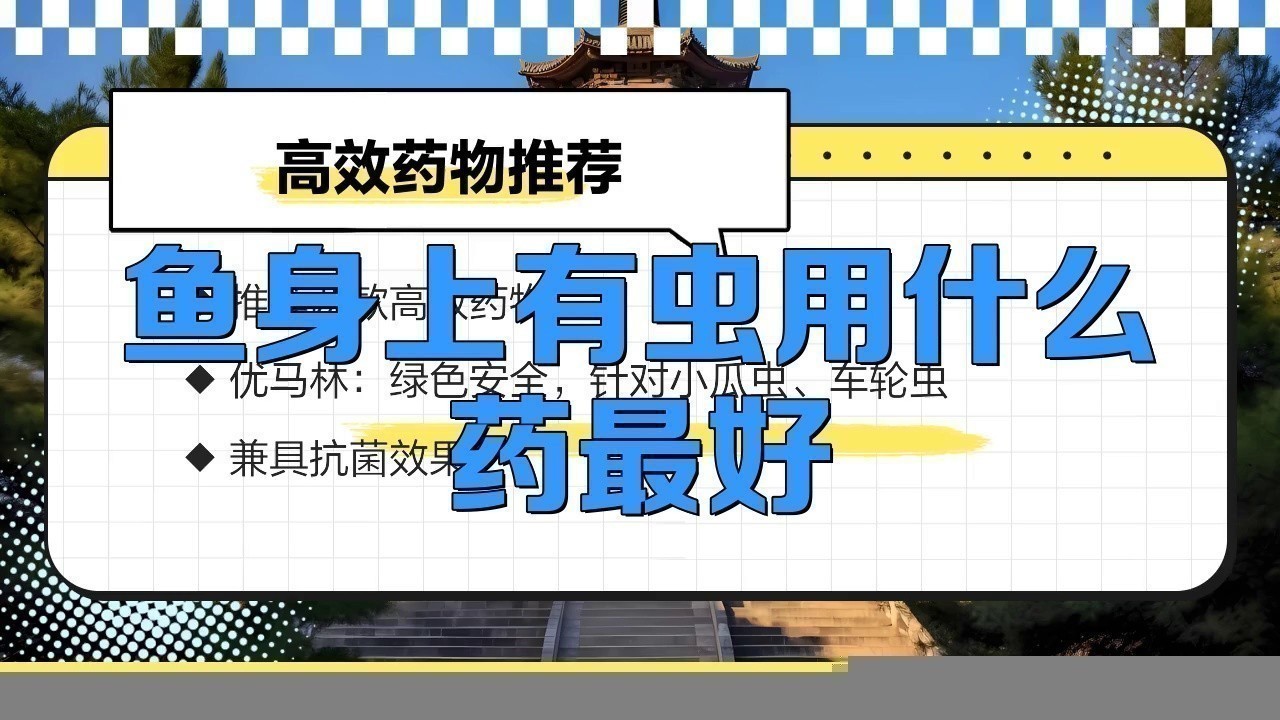 金龍魚感染寄生蟲后如何治療？