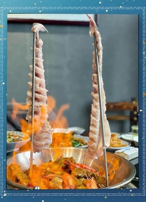 順德火龍魚圖片