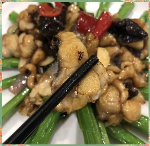 順德火龍魚圖片