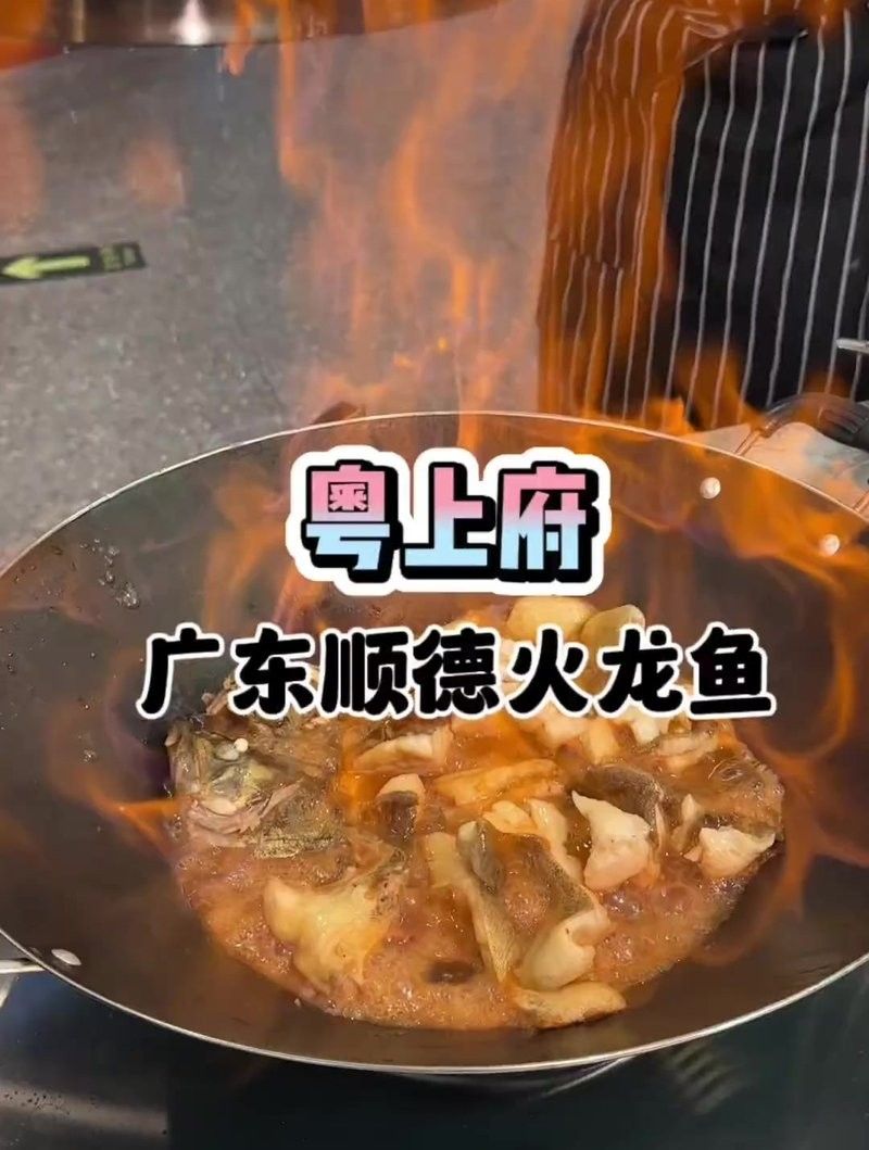 順德火龍魚圖片