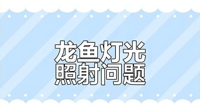 龍魚趴缸開燈好還是不開燈好