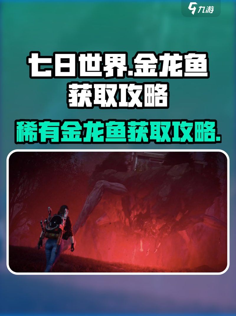 還有哪些金龍魚漁場？ 還有哪些金龍魚漁場？ 龍魚百科 第7張