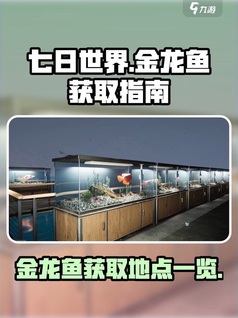 還有哪些金龍魚漁場？ 還有哪些金龍魚漁場？ 龍魚百科 第6張