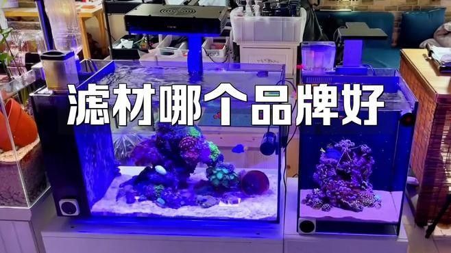 龍魚濾材哪個牌子好用又實惠