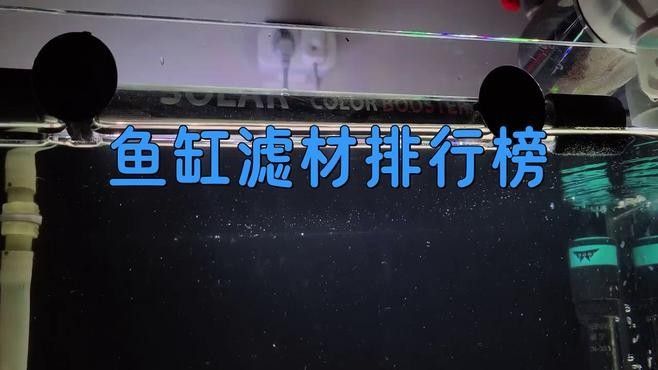 龍魚濾材哪個牌子好用又實惠