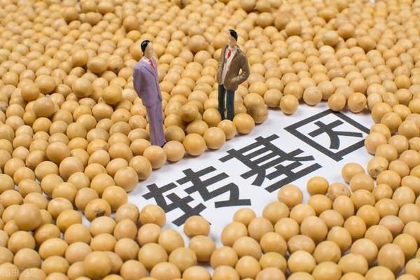金龍魚產品：金龍魚主要產品有哪些？