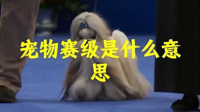 賽級什么意思