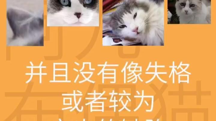 賽級什么意思