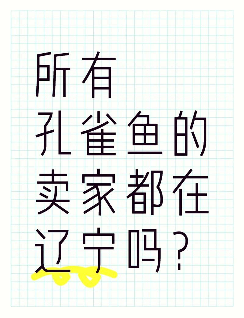 沈陽龍魚批發市場地址電話是多少