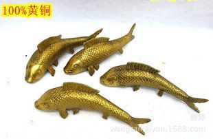 金龍魚是鯉魚：金龍魚并不是鯉魚，而是一種具有悠久歷史和豐富文化內涵的觀賞魚