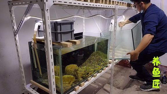 上過濾養龍魚：上過濾系統可以作為養龍魚的一種選擇和維護方案