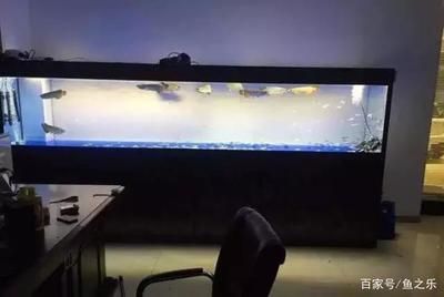 龍魚缸寬度金龍:金龍魚的魚缸寬度 龍魚百科 第5張 龍魚缸寬度金龍:金龍魚的魚缸寬度 龍魚缸寬度金龍:金龍魚的魚缸寬度 龍魚百科 第5張