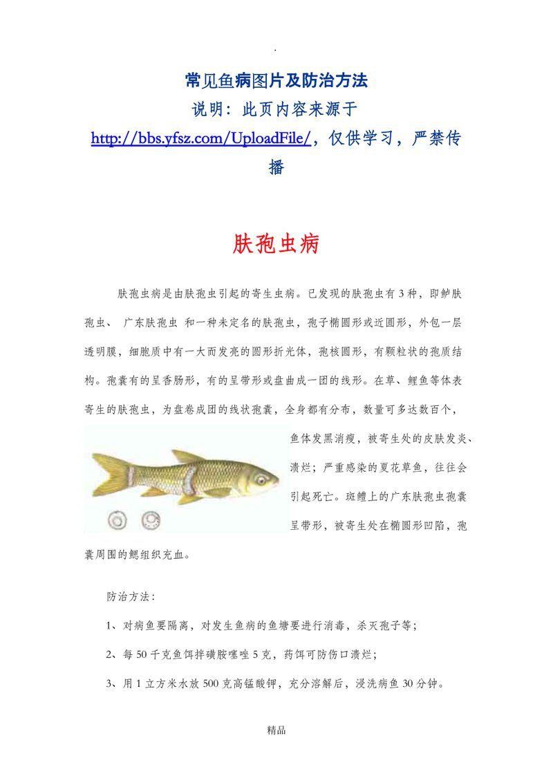 鯪魚常見病和治療方法