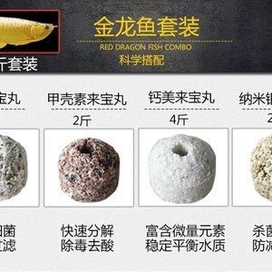 紅龍魚用什么濾材比較好（養紅龍魚用什么濾材好）