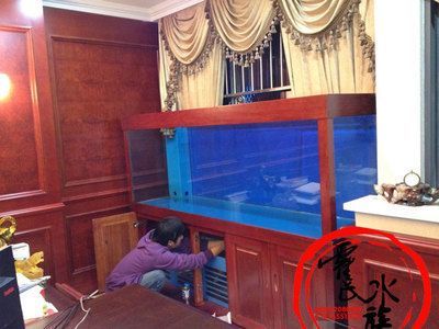 龍魚(yú)落在魚(yú)缸底是在休息嗎？：龍魚(yú)是否在休息時(shí)掉落魚(yú)缸底部