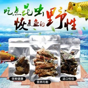 龍魚活餌殺菌方法（龍魚活餌殺菌方法：幾種有效的龍魚活餌殺菌方法）