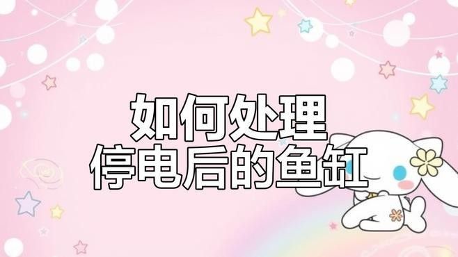金龍魚魚缸停電幾小時后怎么處理