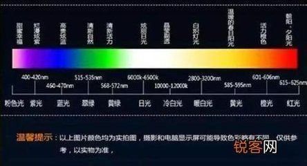如何拍攝紅龍的高清照片？