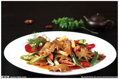 紅金龍魚能長多長:野生紅金龍魚能長多大?探索這一珍稀魚類的生長極限