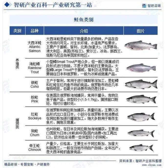 十大最值錢(qián)的紅龍魚(yú)品種