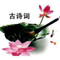 錦鯉美好寓意的詩句