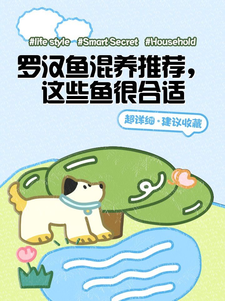 羅漢可以和金龍魚混養嗎