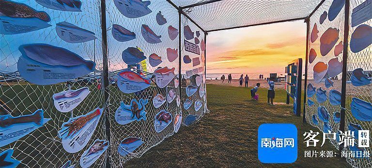 海口哪里養殖龍魚多些