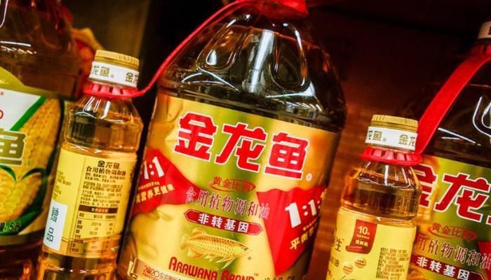 溫州金龍魚囤貨地址