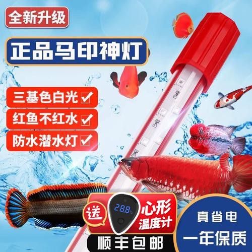 專用龍魚燈哪個品牌好用一點
