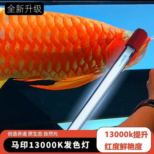 專用龍魚燈哪個品牌好用一點