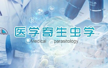 龍魚爬背時可以用藥嗎？