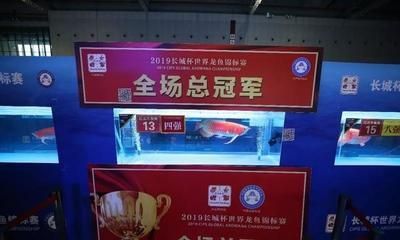 2023廣州長城杯龍魚：2023年廣州長城杯龍魚錦標賽