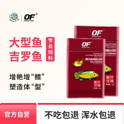 金龍福龍魚飼料選擇：金龍魚的飼料選擇指南