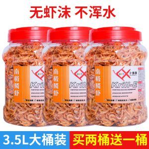 金龍福龍魚飼料選擇：金龍魚的飼料選擇指南