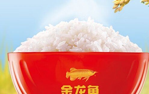 金龍魚稻谷鮮生鶴鄉(xiāng)生態(tài)香米好吃嗎