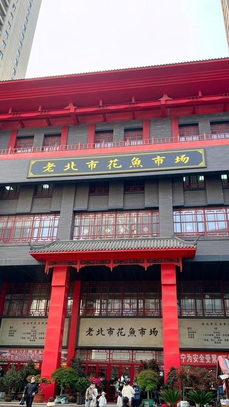 沈陽龍魚專賣店
