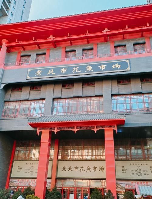 沈陽龍魚專賣店