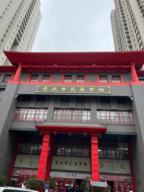 沈陽龍魚專賣店