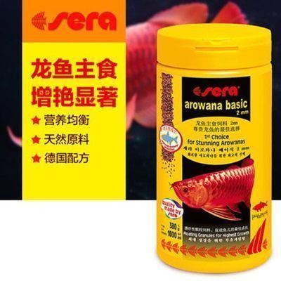 紅龍魚(yú)可以喂飼料嗎（如何正確選擇紅龍魚(yú)飼料，紅龍魚(yú)每日喂食量多少）