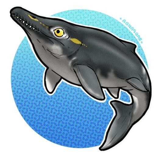 馬古龍魚的圖片欣賞
